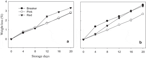 Figure 1. Fresh weight loss percentage of “TY Megaton” (A) and “Yureka” (B) tomato cultivars as affected by maturity stages during the 20 days of storage at 12°C and 85 ± 5% RH. Each data point is the mean of five sample replicates±standard error.Figura 1. Porcentaje de pérdida de peso en seco de los cultivares de tomate “TY Megaton” (A) y “Yureka” (B) en relación con las etapas de maduración durante 20 días de almacenamiento a 12°C y a una RH de 85 ± 5%. Cada dato representa la media de cinco réplicas de la muestra ± error estándar.