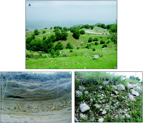 Figure 8. View of the hummocky-like surface of fluviokarst origin of Pianelle, located north to Serra le Tre Finestre (A); detailed views of the laminated fluvio-lacustrine deposits of Serra San Giorgio, made of silts and clays with interbedded reworked volcaniclastic material and rounded pebbles (B) and of the glacial deposits above (C), made of angular and subangular heterometric, calcareous clasts with sandy-silty matrix.