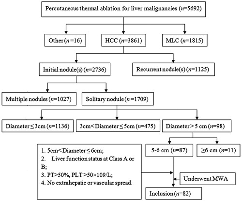 Figure 1. Flowchart of patient selection.