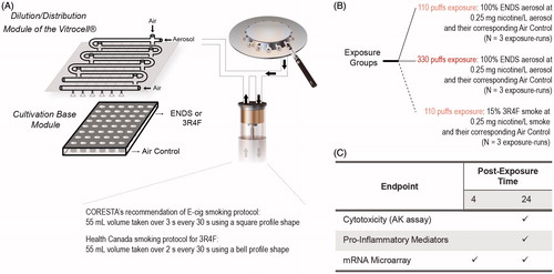 Figure 15. Experimental design to test ENDS aerosol as compared to 3R4F smoke. A, An illustration of the generation of aerosol using a smoking machine and of the exposure set-up using the Vitrocell exposure system. The CORESTA recommendation of E-cig smoking protocol was used to generate ENDS aerosol; whereas Health Canada smoking protocol was used to generate 3R4F smoke. B, the experimental groups. The 3D bronchial epithelial cultures were exposed to aerosols from a representative e-cig and smoke from 3R4F at the comparable nicotine concentration in the aerosol/smoke. C, Various endpoints measured following exposure. Abbreviations: AK: adenylate kinase; ENDS: electronic nicotine delivery systems.