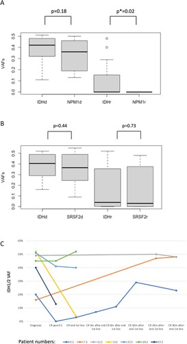 Figure 2. Boxplots of the variant allele frequencies (VAFs) expressed as values 0.0–1.0. A. IDH1/2 and NPM1 VAFs at diagnosis and remission, designated as d and r, respectively: there is a significant difference between IDH1/2 and NPM1 VAFs in remission in paired Wilcoxon testing, originating from the fact that certain patients keep high IDH1/2 VAF in remission. Tendency for difference at diagnosis without significance proven. B. IDH1/2 and SRSF2 VAFs at diagnosis and remission show no differences, with certain patients keeping high VAFs of both mutations in remission. C. Of the 31 patients for whom a ‘deep CR’ was documented (definition in ‘Methods’), 7/31 had persistent IDH1/2 VAF > 2% during deep remission (noise threshold in NGS assay). Duration of follow-up is given in months. Timepoints of measurements are shown with circles. Patients 3.2, 11.2 and 25.2 were NPM1-mutated and showed undetectable NPM1-mutated transcript during follow-up, on qPCR, with sensitivity 0.01%.