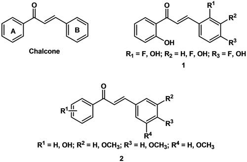 Figure 1. Chemical structures of chalcone, fluorinated 2′-hydroxychalcones (1) and methoxylated chalcones (2).