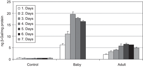 Figure 7.  In vivo expression of β-galactosidase in Sprague Dawley rats transfected with CS-NPs (n = 5).