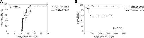 Figure 7 GSTA1 polymorphism and clinical outcomes of HSCT. ANC recovery (A) and survival rate (B) plotted against two GSTA1 genotypes. The solid line and dashed line respectively represent clinical outcomes of patients with GSTA1 *A/*A and GSTA1 *A/*B. P values are shown on the plots.