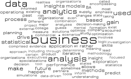 Figure 5. Business analytics definitions – text analysis.