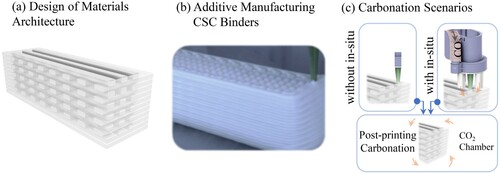 Figure 1. Three main approaches to enhance the carbonation and strength of CSC binders include (a) design of materials architecture, (b) additive manufacturing, and (c) two carbonation scenarios of without and with the in-situ carbonation using in-line CO2 circulation nozzle, both followed by post-printing carbonation in a CO2 chamber.