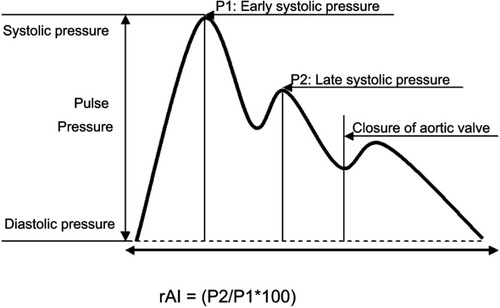 Figure 1 Radial artery waveform.Abbreviations: rAI, radial artery augmentation index; P2, systolic peak pressure 2; P1, systolic peak pressure 1.