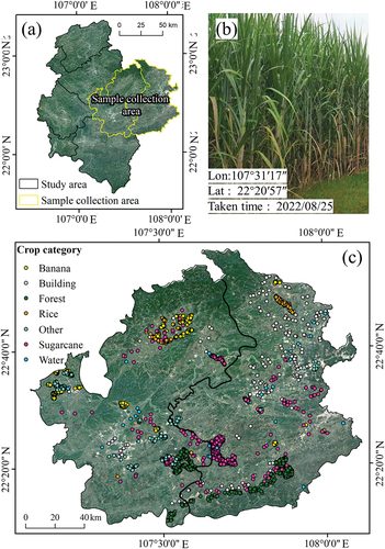 Figure 1. Study area and sample collection area (a), sugarcane in elongation stage (b), and sample sites in sample collection area (c).