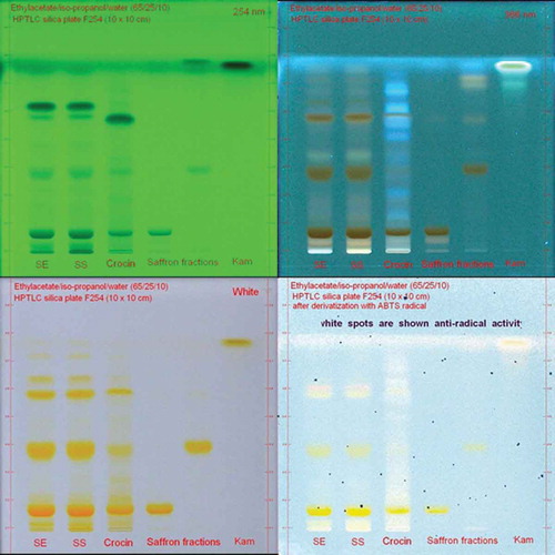 Figure 2. HPTLC-ABTS+● results of saffron extracts and fractions.