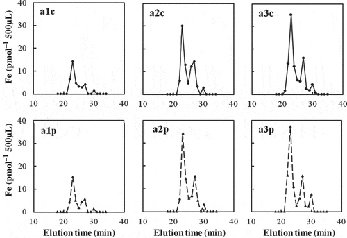 Figure 1 Size-exclusion high-performance liquid chromatography (SE-HPLC) analysis of iron (Fe) in three samples of xylem sap from soil-grown rice (Oryza sativa L.), treated with and without proteinaseK. a1c, a2c, and a3c were non-treated, and a1p, a2p, and a3p were treated with proteinaseK.
