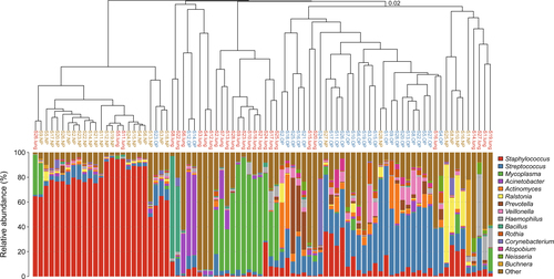 Fig. 3 Dendrogram and dominant genus bar plot based on the hierarchical clustering of pneumonia samples.Clustering was based on the Bray-Curtis dissimilarity distance. The clade names colored yellow, blue and red represent samples originating from the NP, OP and lung, respectively
