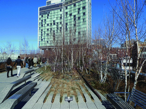 Figure 2 The High Line, New York. An ecological simulacrum has been created to resemble elements of what once existed on the site. Photo by the author (2011). (Color figure available online.)