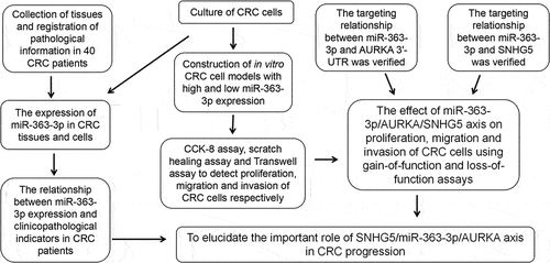 Figure 7. Flow chart of the present study.