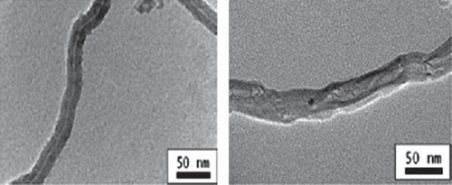 Figure 2. TEM images of: (a) MWNTs; (b) Candida rugosa lipase CRL absorbed on MWNTs. The diameters of the nanotubes without enzyme were 20 ± 5 nm and with enzyme 30 ± 5 nm (the diameter values represent the average of 10 TEM images in each case). Reproduced from [Citation61] with the permission of BioMed Central (http://creativecommons.org/licenses/by/2.0).