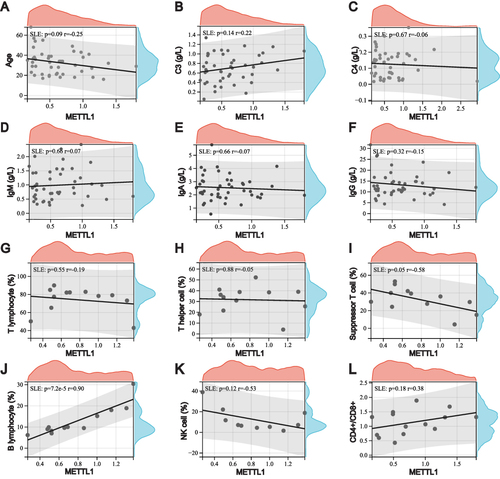 Figure 3 Relationship between downregulation of METTL1 and clinical features in SLE. Correlation between METTL1 expression and age (A), C3 (B), C4 (C), IgM (D), IgA (E), IgG (F) (n=45), peripheral T lymphocyte (G), T helper cell (H), suppressor T cell (I), B lymphocyte (J) (n=12), NK cell (K) (n=10), and CD4/+CD8+ (L) (n=14). Pearson correlation test.