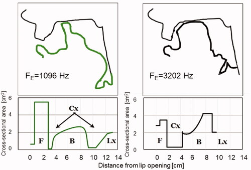 Figure 10. Upper panels: MR tracings of the lowest and the highest FE (left and right panels). Lower panels: schematic illustration of the corresponding front cavity, constrictions, back cavity and larynx (F, Cx, B, and Lx, respectively) of the corresponding derived area functions.