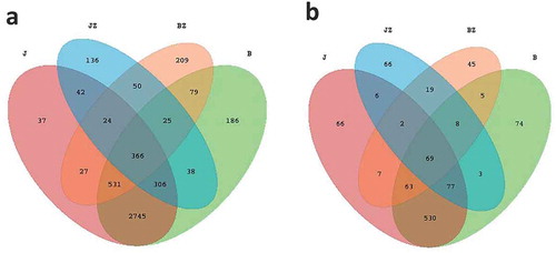 Fig. 2 (Colour online) (a) Bacterial and (b) fungal Venn diagrams at the operation taxonomic units (OTUs) level. Venn diagrams showing the number of shared and unique OTUs (≥97’ similarity) among diseased soil, healthy soil, black spot diseased cherry tissues and healthy cherry tissue. B, diseased soil; J, healthy soil; BZ, diseased tissue; JZ, healthy tissue