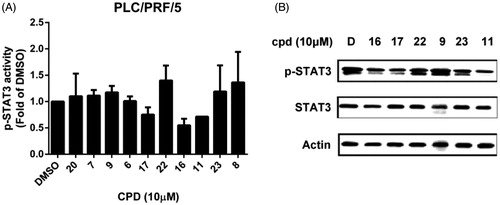 Figure 2. Effects of compounds on p-STAT3 inhibition. (A) PLC5 cells were exposed to the indicated compounds at a dose of 10 μM for 24 h and cell lysates were assayed by p-STAT3 ELISA kit. (B) PLC5 cells were exposed to the indicated compounds (cpd 16, 17, 22, 9, 23, 11) at 10 μM for 24 h and cell lysates were assayed by western blot.