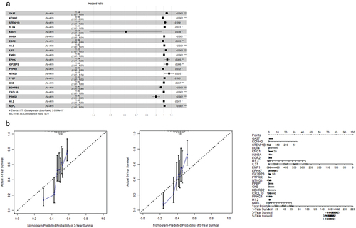 Figure 2. (a) Characteristics of 21 alternative genes with different hazard ratios in bladder cancer patients. (b) Different characteristics of changes in five-year and three-year survival ratios of bladder cancer patients.