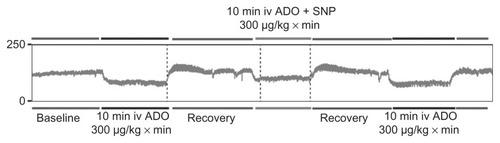 Figure 5 Representative blood pressure recording showing different blood pressure response to free and silica nanoparticle-bound adenosine. Initial free adenosine infusion was followed by recovery period and infusion of silica nanoparticle-bound adenosine. After recovery, one more episode of adenosine infusion was performed.Abbreviations: ADO, adenosine; SNP, silica nanoparticles.