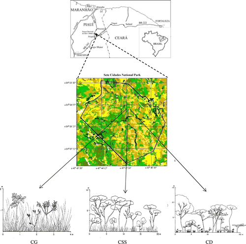 Figure 1. Map presenting the gradient of cerrado at Sete Cidades National Park, Brazil.