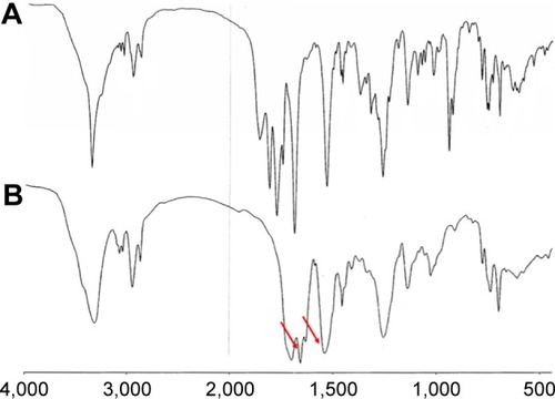 Figure 1 FT-IR spectra of Zlys-NCA (A) and poly(Lys(z)-NCA) (B). The red arrows highlight the band at 1,654.28 cm−1 (amide I) and 1,537.78 cm−1 (amide II) represented to the successful synthesis of poly(Lys(z)-NCA).Abbreviations: FT-IR, Fourier transform infrared spectroscopy; Lys(z), N-epsilon-carbobenzyloxy-l-lysine; Zlys, benzyloxycarbonyl-l-lysine; NCA, N-carboxyanhydride.
