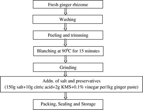 Figure 1. Process flowchart for preparation of ginger paste.