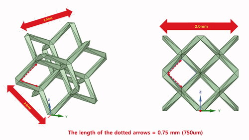The unit and pore sizes in dode-thin lattice structure.