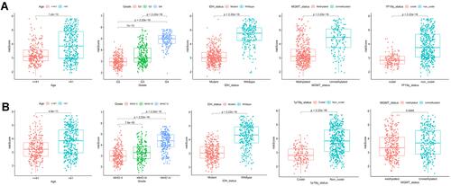 Figure 6 Association of risk score with various clinical traits. (A and B) Stratified analysis of risk score with various clinicopathological parameters in glioma patients in the TCGA and CGGA cohorts such as age, grade, IDH status, 1p19q codeletion status, and MGMT methylation status.