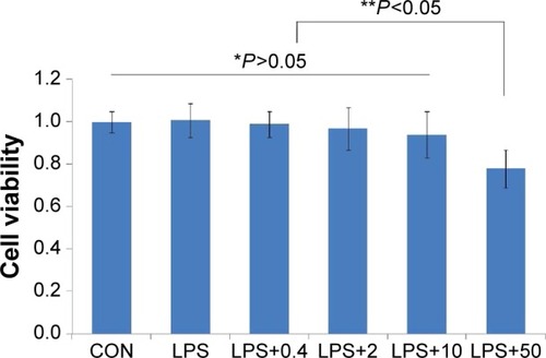 Figure 1 The effects of PAP on the viability of BV2 cell.