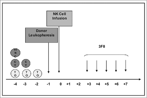 Figure 1. Schema of protocol therapy. Abbreviations: NK = Natural Killer; VINC = Vincristine; CY = Cyclophosphamide; TO = Topotecan.