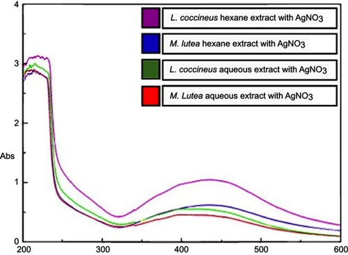Figure 2 UV-Vis spectral analysis and color intensity of the biosynthesized SNPs of Lampranthus coccineus and Malephora lutea aqueous and hexane extract with AgNO3.