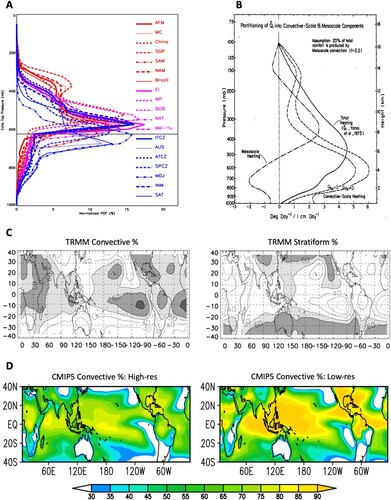 Fig. 8 (A) Normalized vertical distribution of TRMM precipitation radar 20 dBZ echo top for stratiform precipitation for regions shown in Fig. 7A. (B) Partitioning of GATE Q1 profile into convective, stratiform and radiative components (from Johnson, Citation1984). (C) TRMM PR convective and stratiform precipitation fractions for NH summer (from Yang & Smith, Citation2008). (D) CMIP5 model convective precipitation fraction for high-resolution and low-resolution ensemble means for NH summer (from Huang et al., Citation2018).