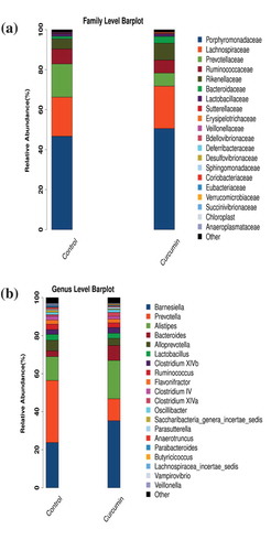 Figure 2. Structural comparison of gut microbiota between the curcumin-treated and control groups at (a) family and (b) genus levels.