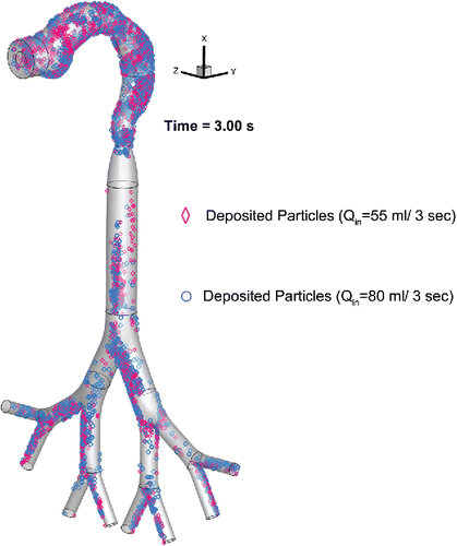 Figure 6. Comparison of the EC particle deposition patterns at t = 3.0 s between two puffing volumes.