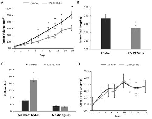 Figure 2. T22-PE24-H6 antitumor effect in a cell-derived subcutaneous SW1417 CRC model. (A) Antitumor effect of T22-PE24-H6 measured by the reduction of tumor volume (mm3). (B) Antitumor effect of T22-PE24-H6 measured by tumor weight (g) at the end of the experiment. (C) Increase in the number of cell death bodies in the SC SW1417 tumors counted in 10 high-power fields of H&E-stained tissue samples collected at the end of the experiment. (D) Follow-up of mouse body weight (g) during the repeated dose administration of 10 µg T22-PE24-H6 (three times a week, 8 total doses). All data are presented as mean ± s.e.m., N = 6. *p < 0.05; **p < 0.01.