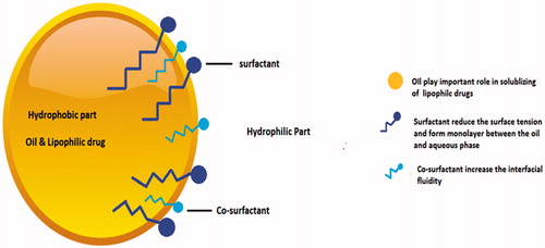 Figure 1. Different components of self-emulsifying drug delivery system.