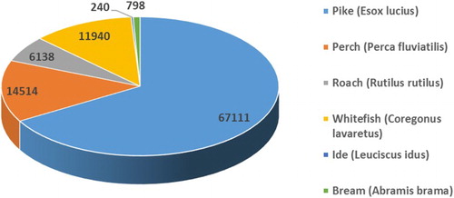 Figure 6. The percentages of different species in relation to the total catch of 100,741 kg (fresh weight) in 1553.