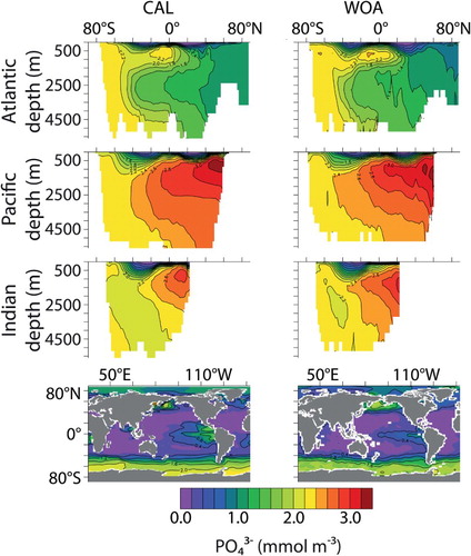 Fig. 5 Zonally averaged by ocean basin and surface distributions (CAL, left column; WOA observations, right column).