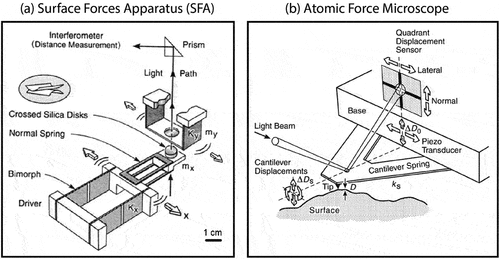 Figure 1. (a) Schematic illustration of the SFA setup showing the two curved surfaces and the optical path through them. Adapted with permission from [Citation13]. Copyright 1997 American Chemical Society. (b) Schematic of the AFM setup showing a tip in contact with a surface. Reprinted from [Citation10]. Copyright 2011, with permission from Elsevier.