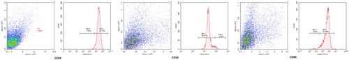 Figure 1. Appraisal of BMSCs and analyzed using flow cytometry. Flow cytometry for sorting of BMSCs.