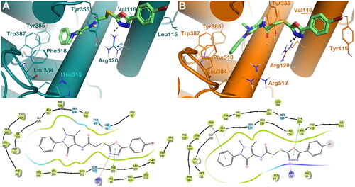 Figure 3. (A) Proposed binding interactions 4c into COX-1 enzyme (PDB ID 6Y3C). (B) Proposed binding interactions 4c into COX-2 enzyme. In the ligand-interaction diagrams the magenta arrow represents the H-bond, the green line the π–π stacking, the red line the cation-π stacking.