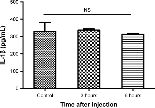 Figure S4 In vivo induction of inflammasomes in lymph nodes.Notes: Secretion of IL-1β in lymph nodes at different time points after injection of carboxyl-terminated γ-PGA nanomicelles. All data were obtained in triplicate and are presented as the mean ± SD. NS, not significant.Abbreviation: γ-PGA, poly-(γ-glutamic acid).