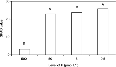 Figure 2  Chlorophyll index (SPAD value) of new leaves of barley plants grown in iron-deficient nutrient solutions with different levels of phosphorus (P) at 14 days after treatment. Different letters at the top of each bar indicate significant differences (P < 0.05) according to the Ryan–Einot–Gabriel–Welsch Mutiple Range Test.