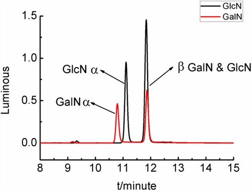 Figure 8. Chromatograms of derivatised compounds of GlcN and GalN standards solutions.