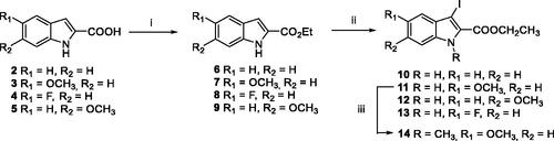 Scheme 1. Reagents and conditions: (i) EtOH, conc. H2SO4 10 mol%, reflux, 12 h, 6–9 quant.; (ii) I2 (1.5 equiv.), KOH (4.0 equiv.), DMF, r.t., 4 h; (iii) NaH (1.5 equiv.), CH3I (1.2 equiv.), DMF, 0–20 °C.