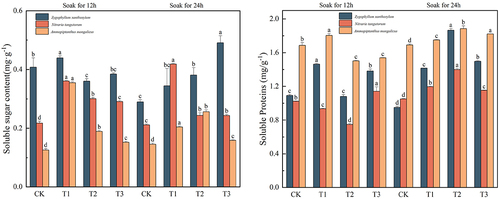 Figure 6. Changes in the content of soluble sugars and soluble proteins in three desert plants by different times of IAA immersion and exogenous melatonin treatment.