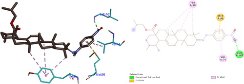 Figure 2. Binding modes of compound II4 with NF-κB in 3D and 2D diagram. The H-bond interactions with compounds are shown in green, alkyl-bonds are shown in pink, and sulfur-bonds are shown in yellow.