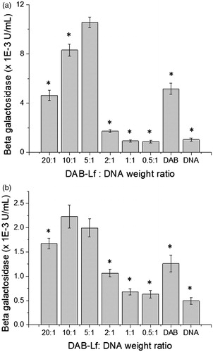 Figure 1. Transfection efficacy of DAB-Lf dendriplex at various dendrimer: DNA weight ratios in PC-3 (a) and DU145 cells (b). Results are expressed as the mean ± SEM of three replicates (n = 15). *p < .05 versus the highest transfection ratio.