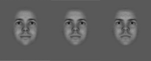 Figure 1. Facial trustworthy morphs. Morphs from the left to right are: trustworthy (100% trustworthy), neutral morph (50% trustworthy, 50% untrustworthy), and the untrustworthy morph (0% trustworthy) morph (Oosterhof & Todorov, Citation2009; Todorov et al., Citation2008).